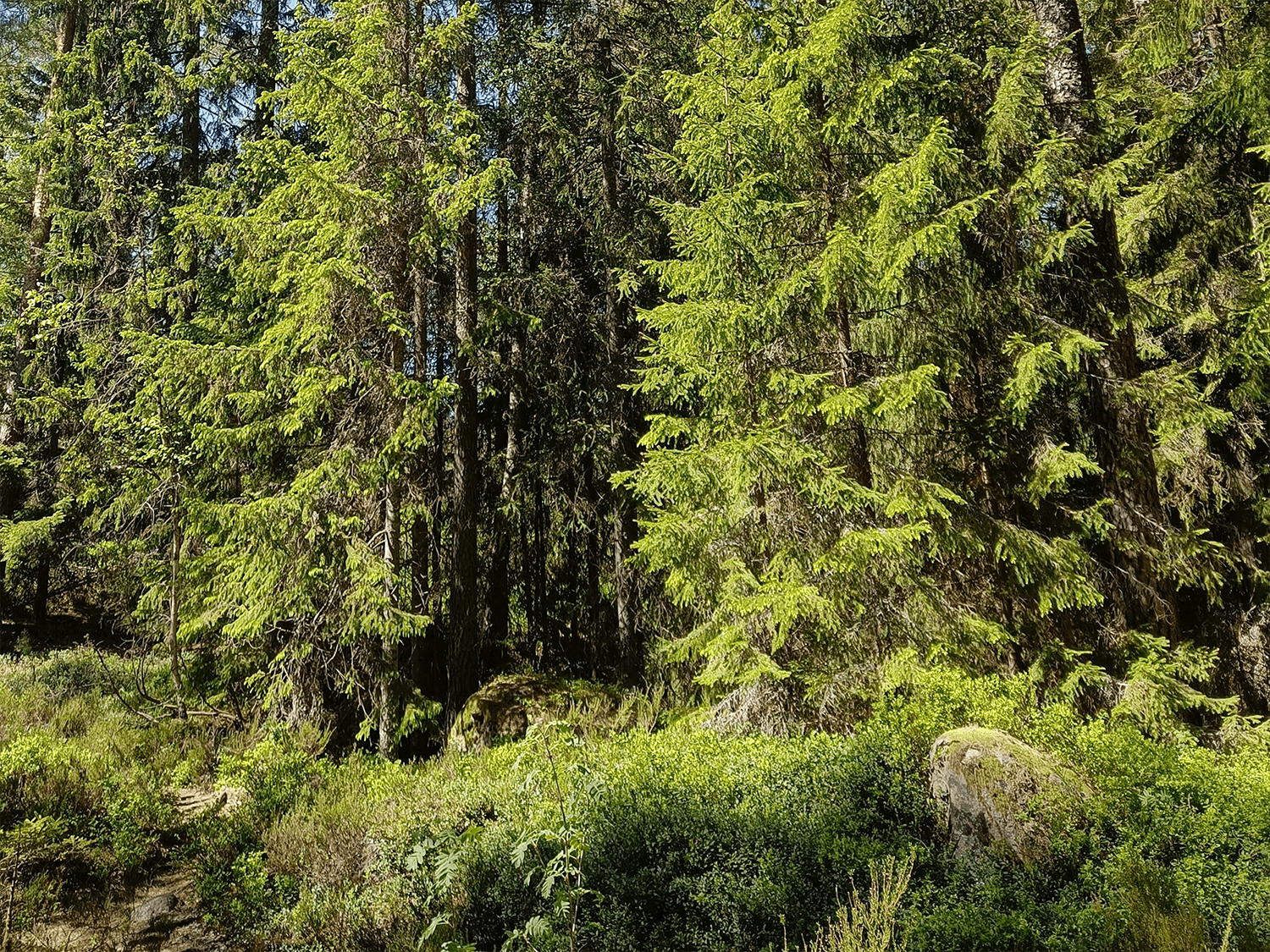 Placeholder Image